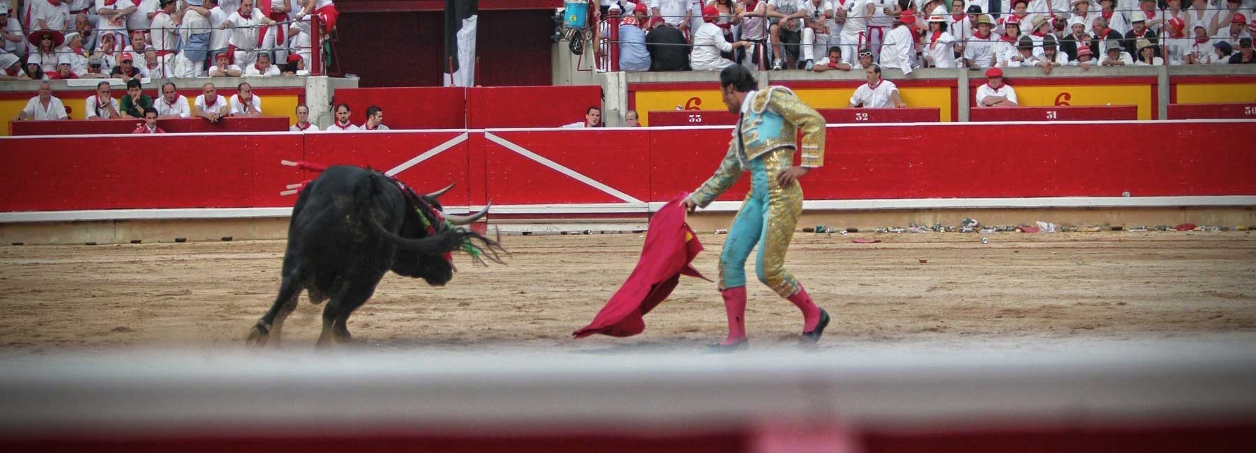Bullfighting Ethics