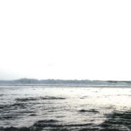 Jil Hellmann Regouby